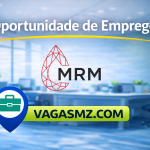 Montepuez Ruby Mining, Lda