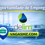 Delim – Limpeza & Manutenção