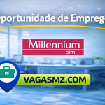 Millennium BIM