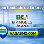 B Angels Agro