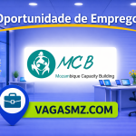Mozambique Capacity Building