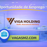 Viga Holding