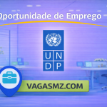 PNUD