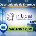 Nitidae