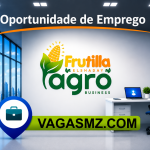 Frutilla el Shaday Agro business