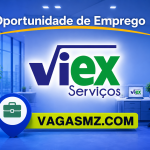 Visão Excelente, Viex Serviços, SU, Lda